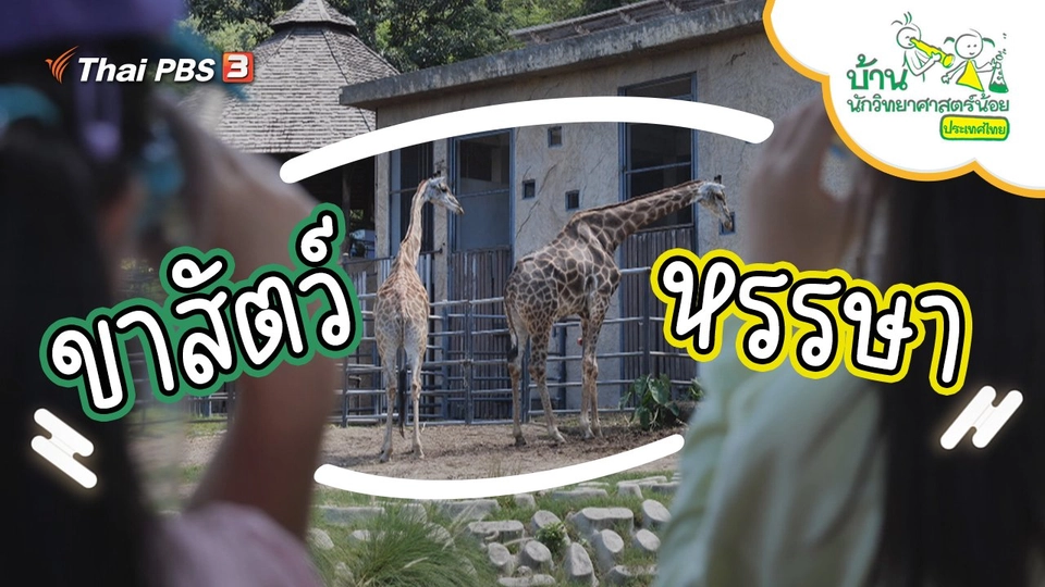 ขาสัตว์หรรษา