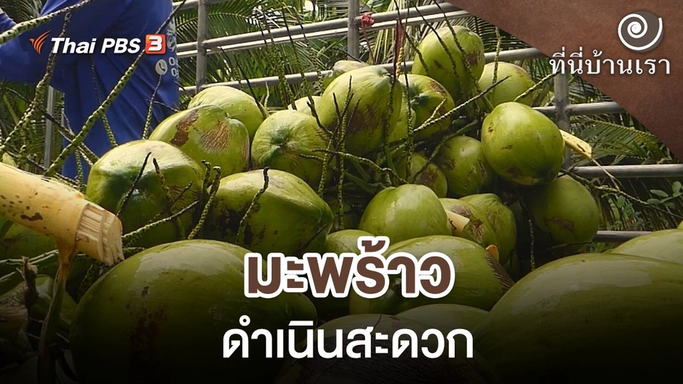 มะพร้าวดำเนินสะดวก