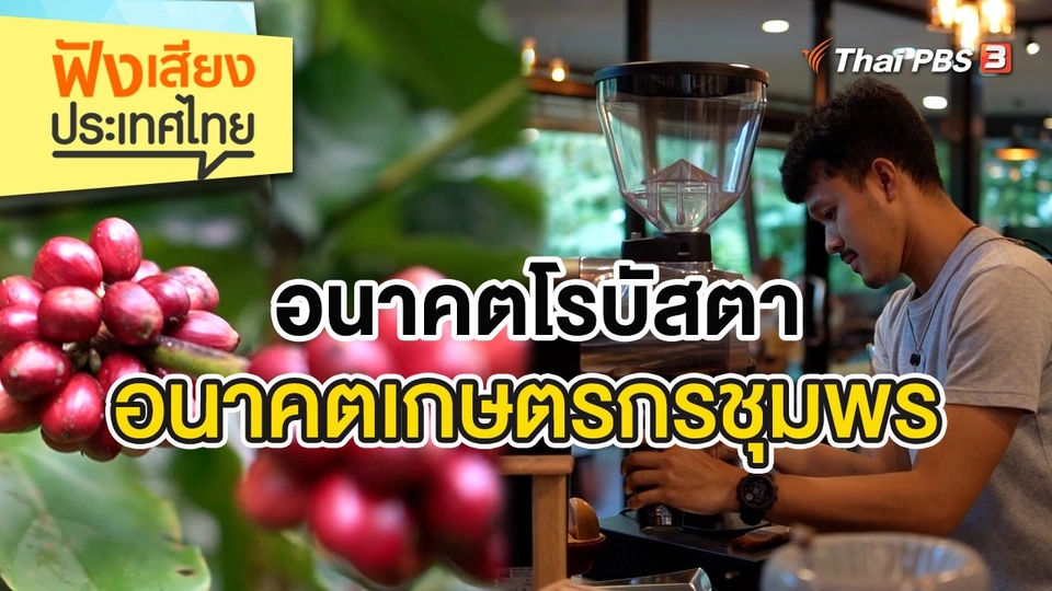 อนาคตโรบัสตา อนาคตเกษตรกรชุมพร