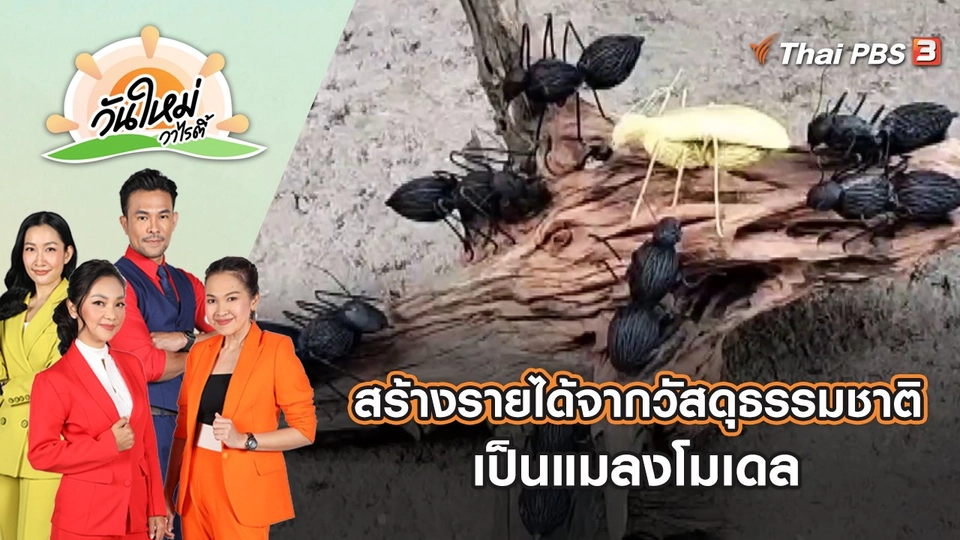 สร้างรายได้เสริมจากวัสดุธรรมชาติเป็นแมลงโมเดล | วันใหม่วาไรตี้ | 16 ส.ค. 65
