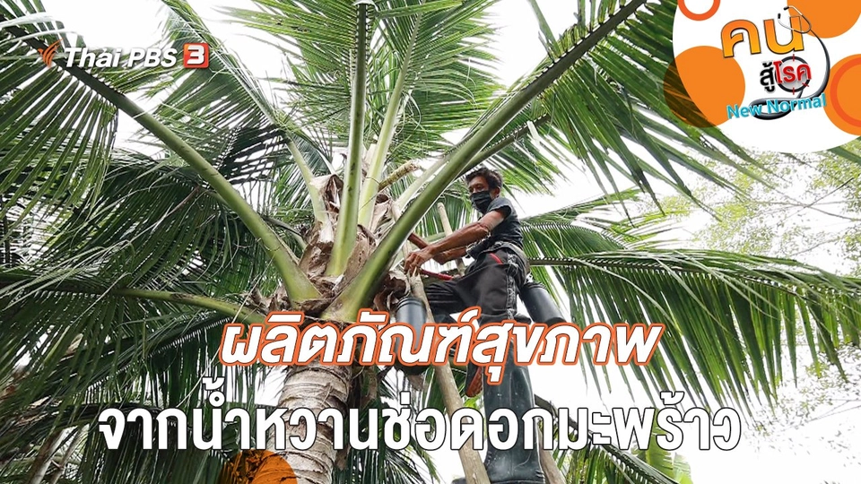 ผลิตภัณฑ์สุขภาพจากน้ำหวานช่อดอกมะพร้าว