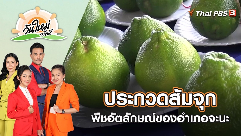 ประกวดส้มจุก พืชอัตลักษณ์ของอำเภอจะนะ | วันใหม่วาไรตี้ | 19 ส.ค. 65