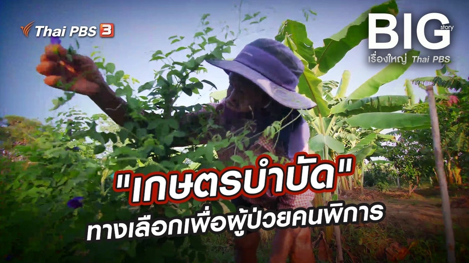 "เกษตรบำบัด" ทางเลือกเพื่อผู้ป่วยคนพิการ