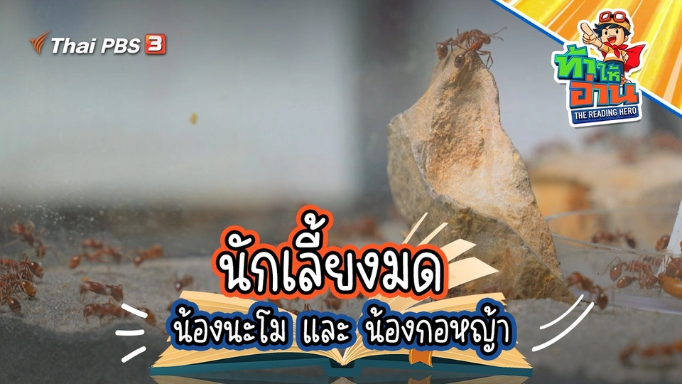 นักเลี้ยงมด : น้องนะโม และ น้องกอหญ้า