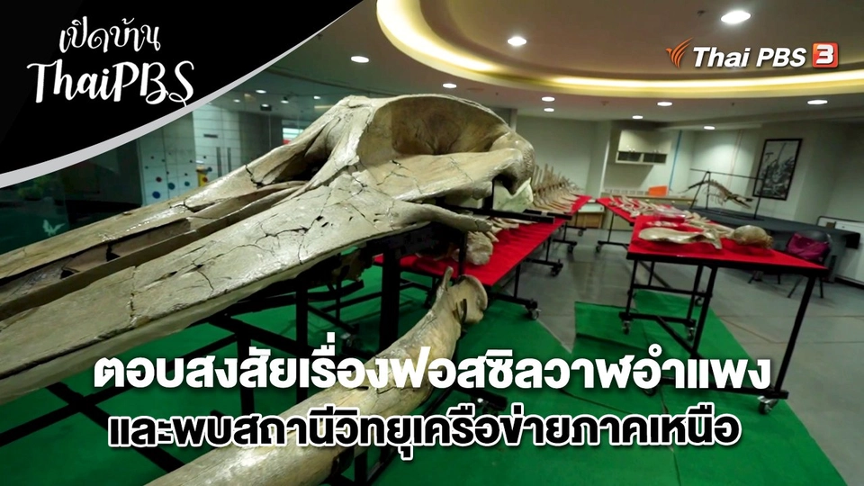 ตอบสงสัยเรื่องฟอสซิลวาฬอำแพงและพบสถานีวิทยุเครือข่ายภาคเหนือ