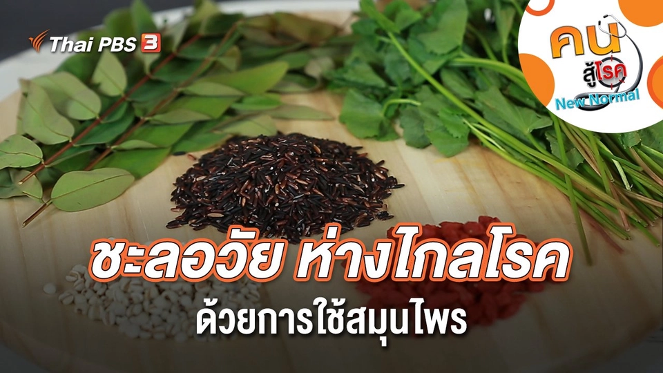 ชะลอวัย ห่างไกลโรค ด้วยการใช้สมุนไพร