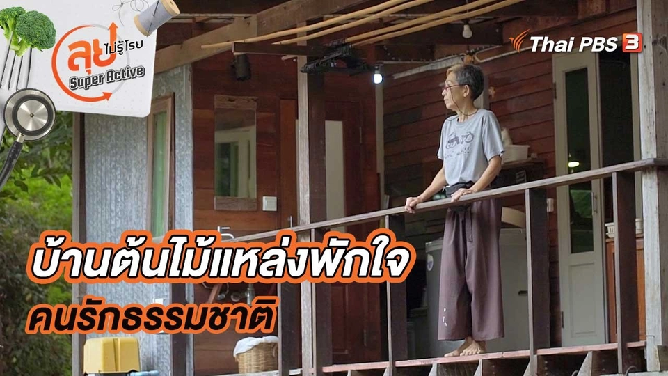 บ้านต้นไม้แหล่งพักใจคนรักธรรมชาติ