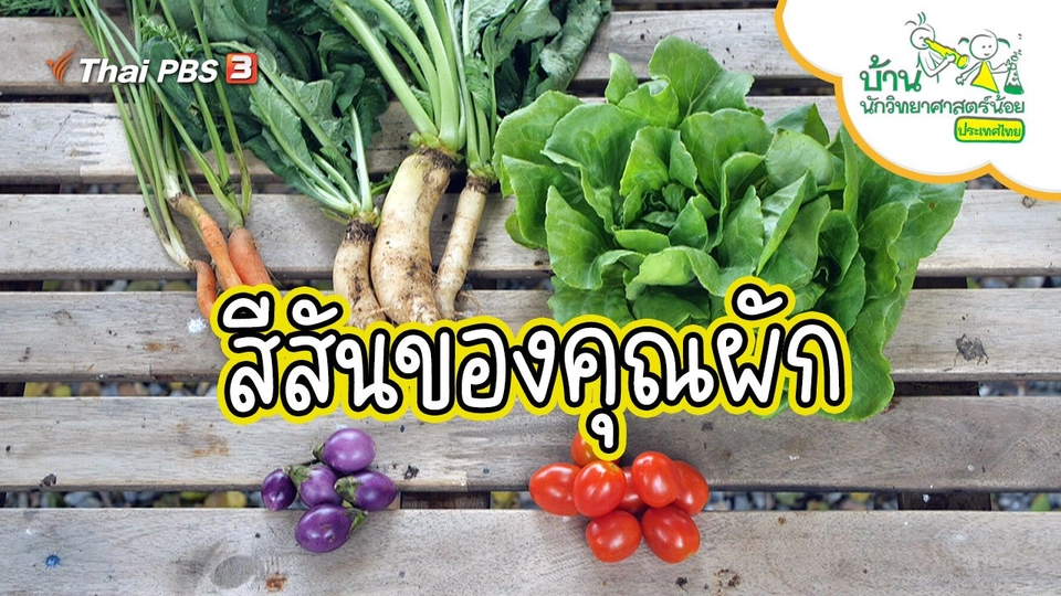 สีสันของคุณผัก