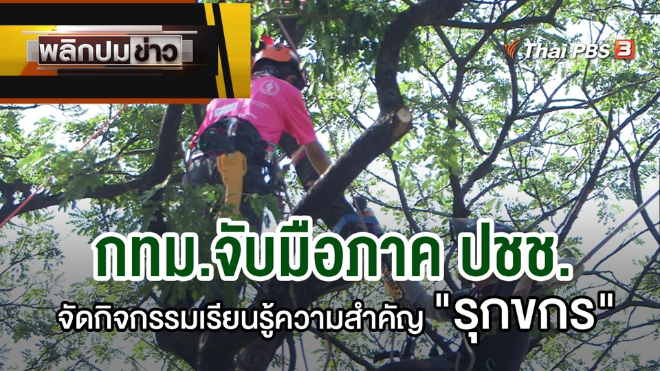 กทม.จับมือภาค ปชช.จัดกิจกรรมเรียนรู้ความสำคัญ "รุกขกร"