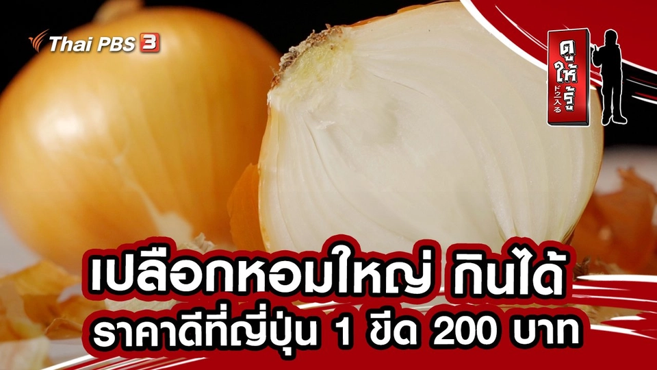 เปลือกหอมใหญ่ กินได้ ราคาดีที่ญี่ปุ่น 1 ขีด 200 บาท