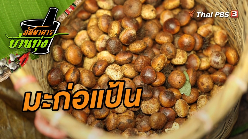 มะก่อแป้น