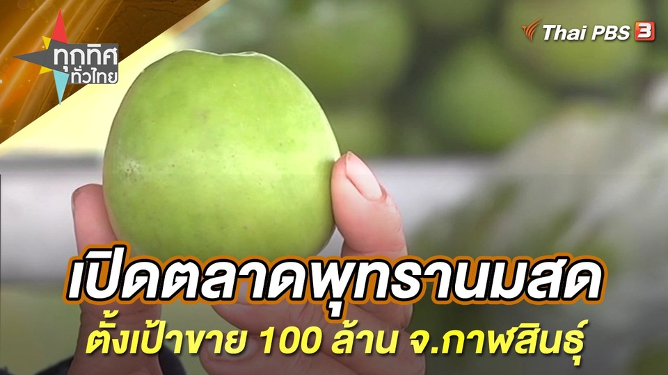 เปิดตลาดพุทรานมสดตั้งเป้าขาย 100 ล้าน จ.กาฬสินธุ์