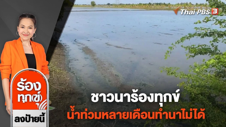 ชาวนาร้องทุกข์ น้ำท่วมหลายเดือนทำนาไม่ได้ จ.สระบุรี