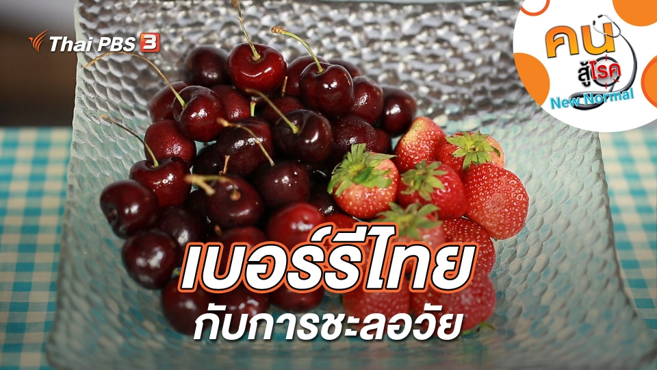 เบอร์รีไทยกับการชะลอวัย