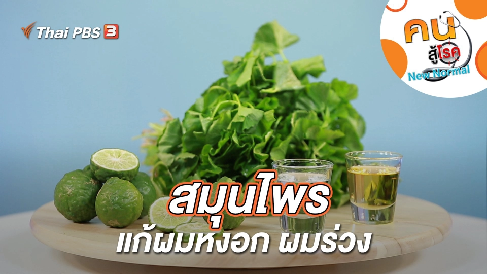 สมุนไพรแก้ผมหงอก ผมร่วง