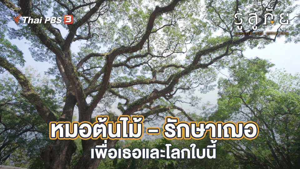 หมอต้นไม้ - รักษาเฌอ เพื่อเธอและโลกใบนี้