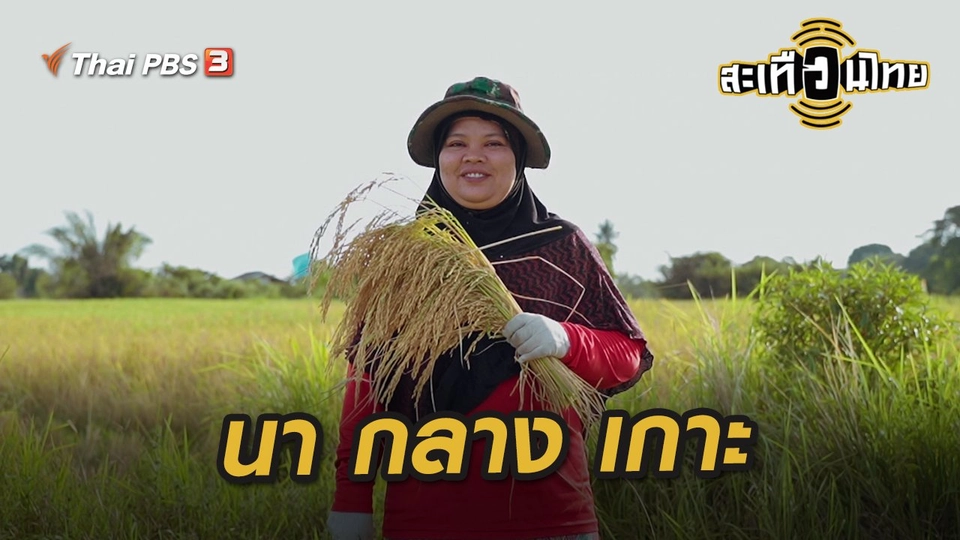 นา กลาง เกาะ