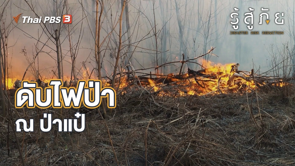 ดับไฟป่า ณ ป่าแป๋