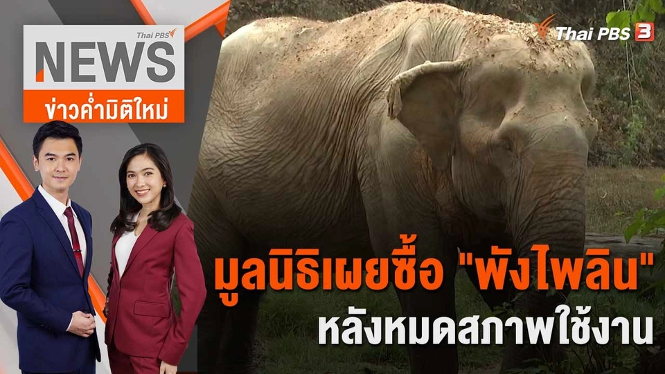 มูลนิธิเผยซื้อ "พังไพลิน" หลังหมดสภาพใช้งาน  | 13 มี.ค. 66