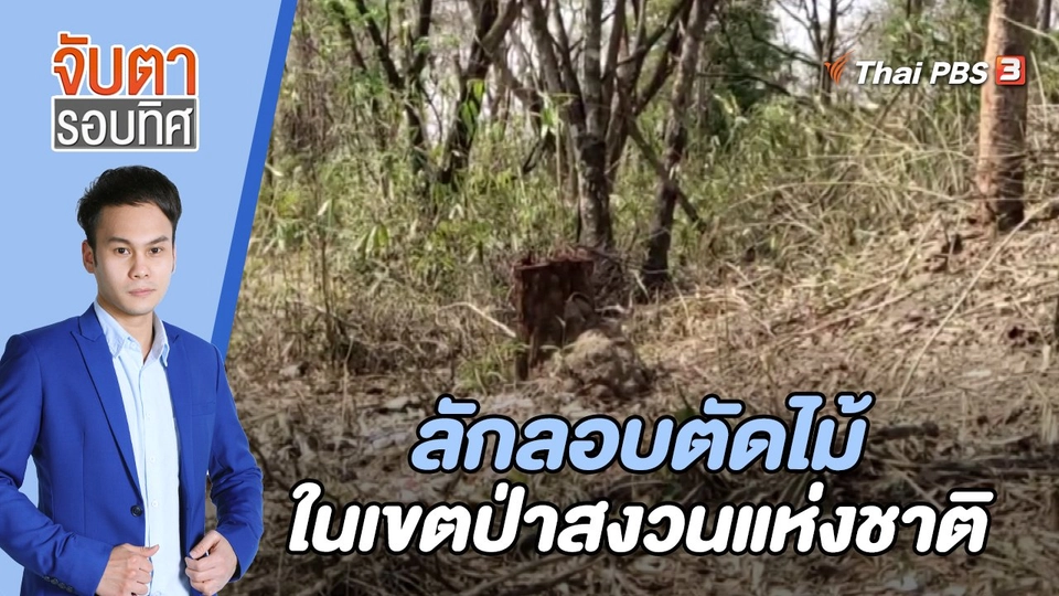 ลักลอบตัดไม้ในเขตป่าสงวนแห่งชาติ | 21 มี.ค. 66
