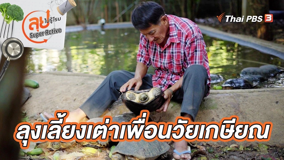 ลุงเลี้ยงเต่าเพื่อนวัยเกษียณ