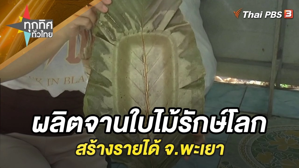 ผลิตจานใบไม้รักษ์โลกสร้างรายได้ จ.พะเยา