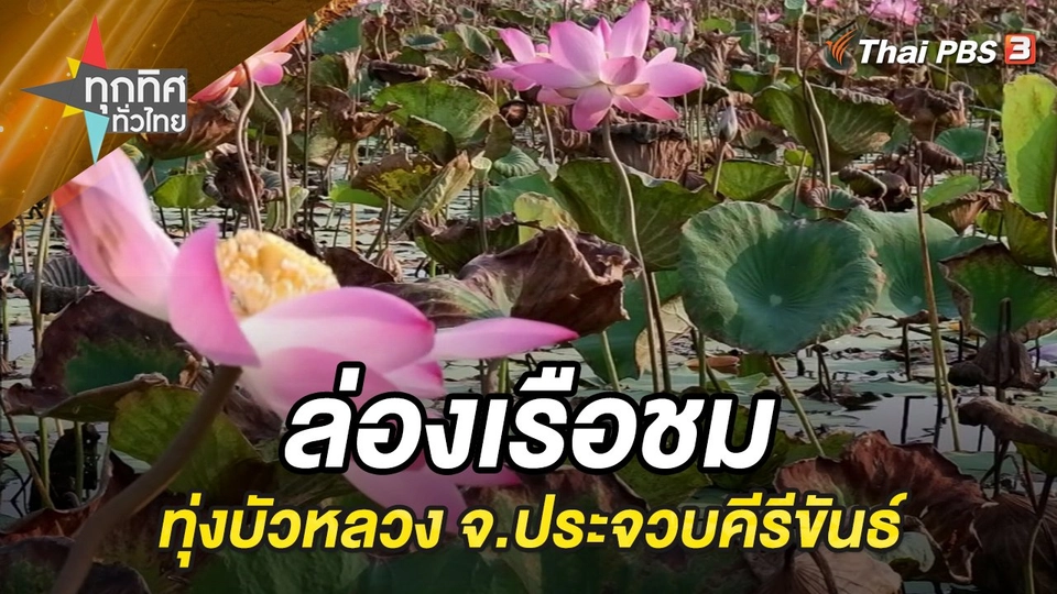 ล่องเรือชมทุ่งบัวหลวง จ.ประจวบคีรีขันธ์