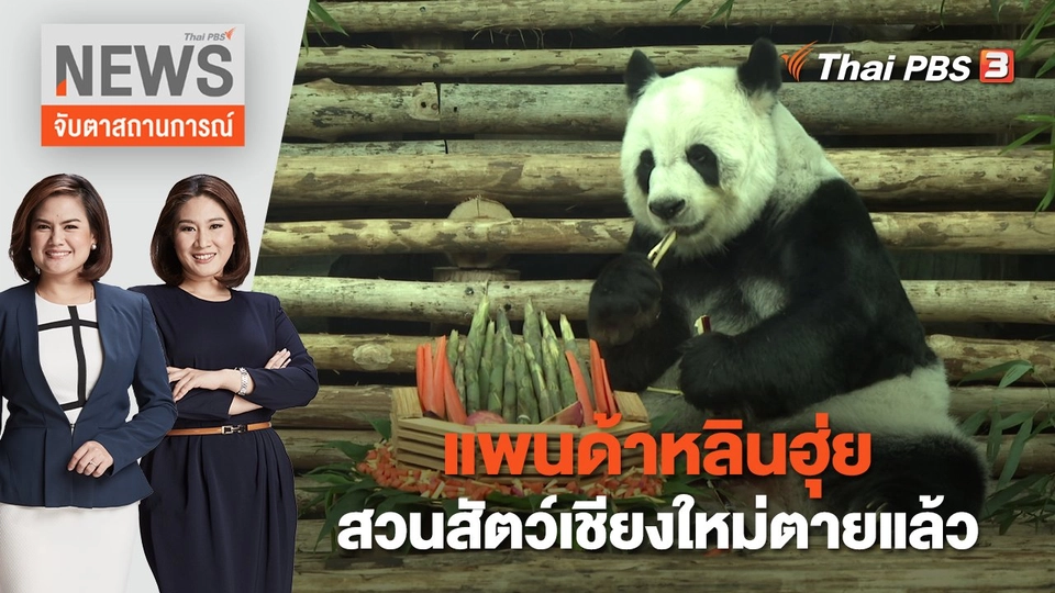 แพนด้าหลินฮุ่ยสวนสัตว์เชียงใหม่ตายแล้ว | จับตาสถานการณ์ | 19 เม.ย. 66