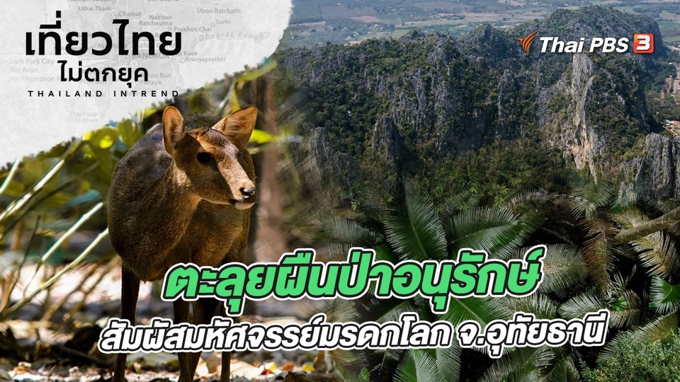 ตะลุยผืนป่าอนุรักษ์ สัมผัสมหัศจรรย์มรดกโลก จังหวัดอุทัยธานี