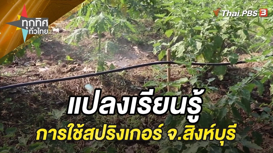 แปลงเรียนรู้การใช้สปริงเกอร์ จ.สิงห์บุรี