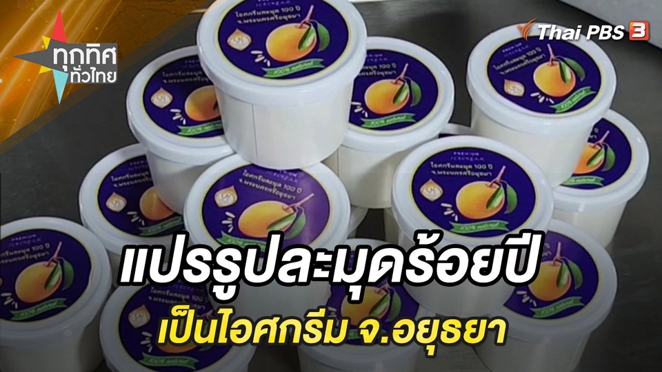 แปรรูปละมุดร้อยปีเป็นไอศกรีม จ.อยุธยา