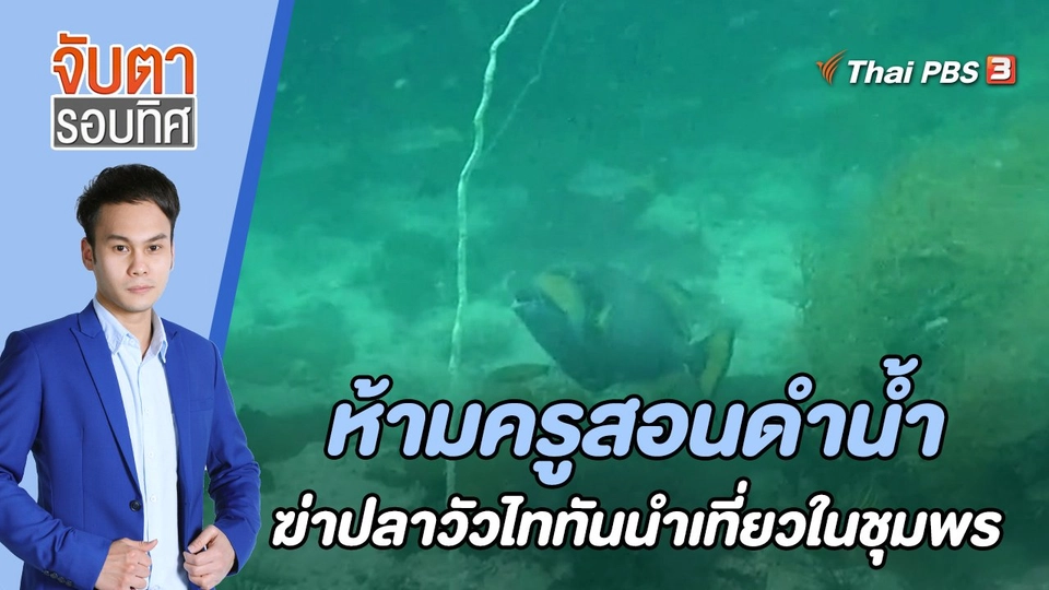 ห้ามครูสอนดำน้ำฆ่าปลาวัวไททันนำเที่ยวในชุมพร | 1 พ.ค. 66
