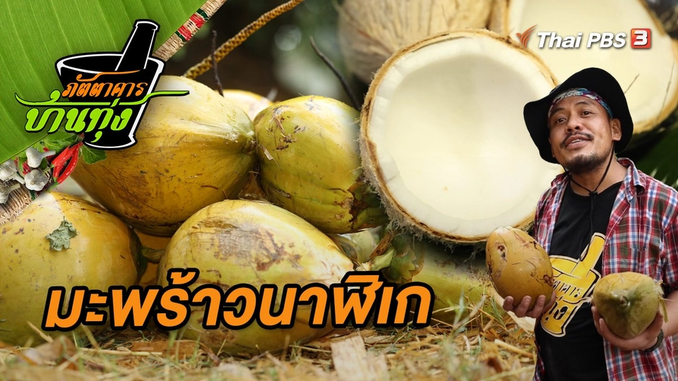 มะพร้าวนาฬิเก