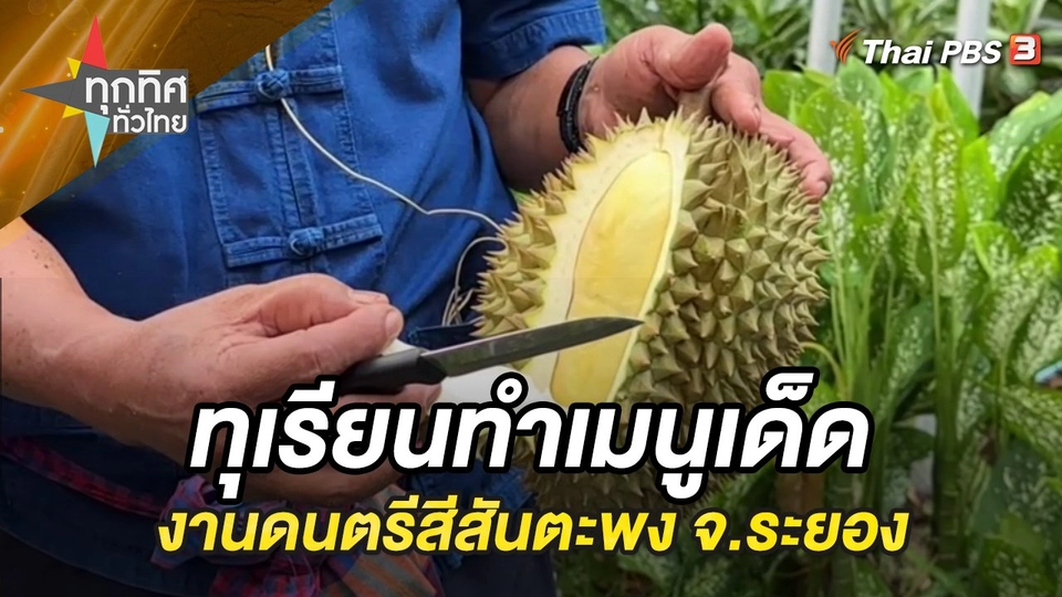 ทุเรียนทำเมนูเด็ดงานดนตรีสีสันตะพง จ.ระยอง