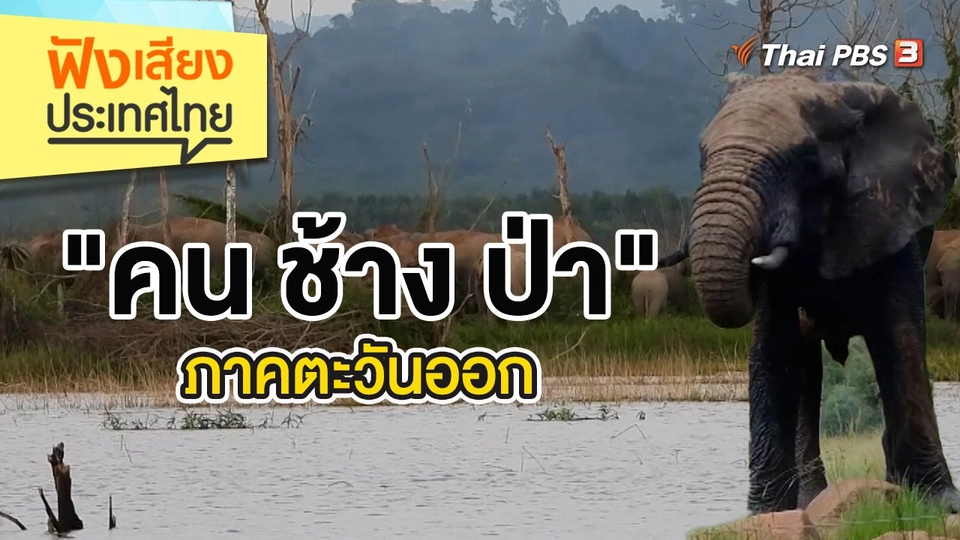 "คน ช้าง ป่า" ภาคตะวันออก