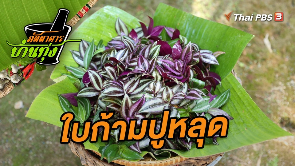 ใบก้ามปูหลุด