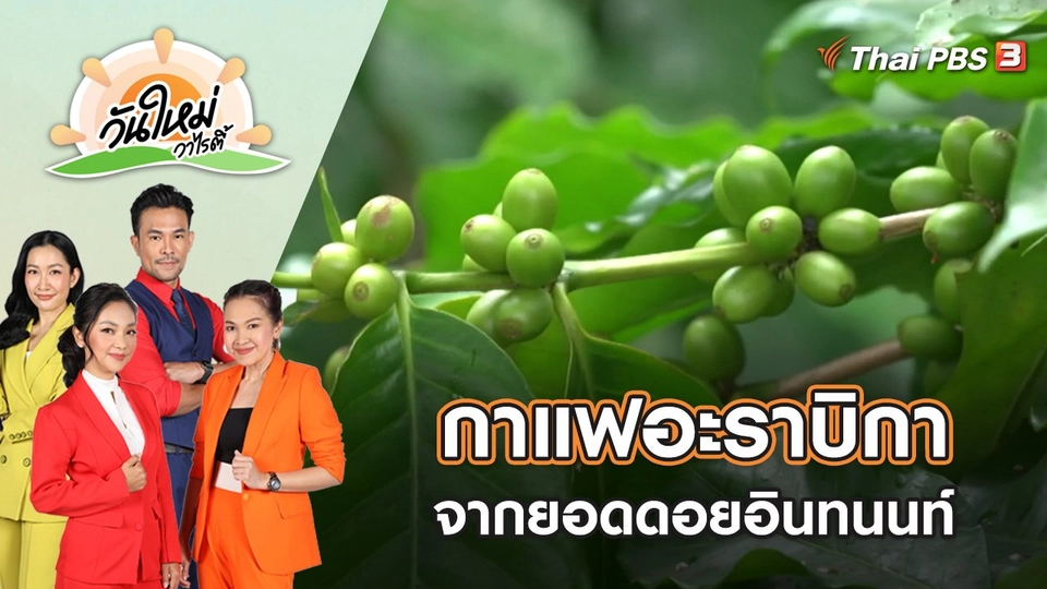 กาแฟสายพันธุ์อะราบิกา จากยอดดอยอินทนนท์ จ.เชียงใหม่ | วันใหม่วาไรตี้ | 28 ธ.ค. 65