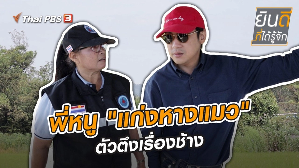 พี่หนู "แก่งหางแมว" ตัวตึงเรื่องช้าง