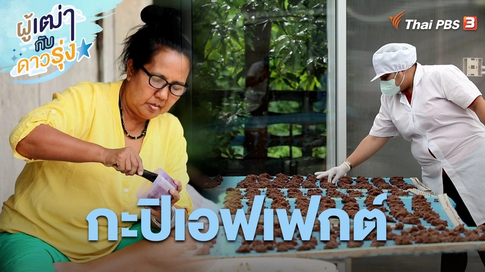 กะปิเอฟเฟกต์