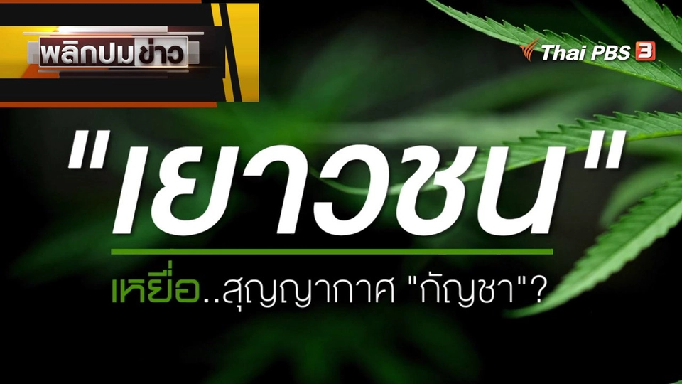 "เยาวชน" เหยื่อสุญญากาศ "กัญชา" ?