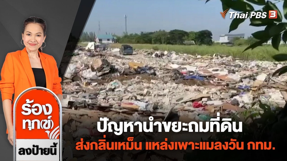 ปัญหานำขยะถมที่ดิน ส่งกลิ่นเหม็น แหล่งเพาะแมลงวัน กทม.