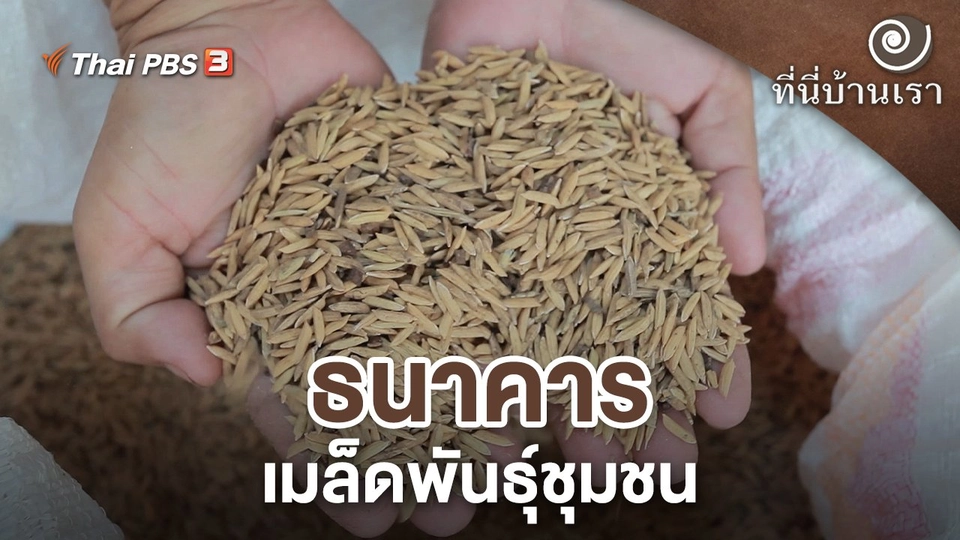 ธนาคารเมล็ดพันธุ์ชุมชน