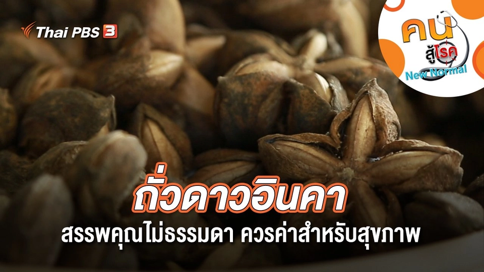 ถั่วดาวอินคาสรรพคุณไม่ธรรมดา ควรค่าสำหรับสุขภาพ