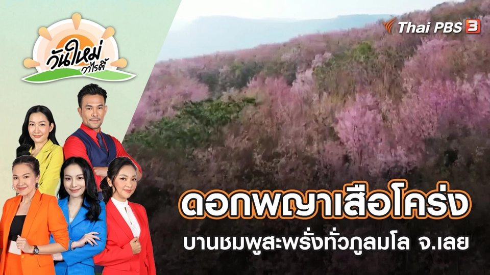 ดอกพญาเสือโคร่ง บานชมพูสะพรั่งทั่วภูลมโล จ.เลย | วันใหม่วาไรตี้ | 19 ม.ค. 66