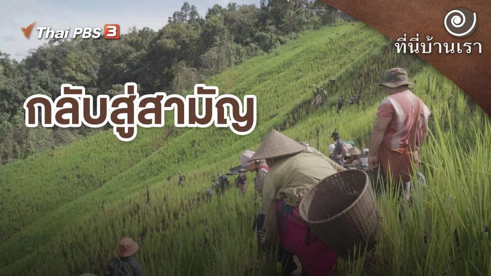 กลับสู่สามัญ