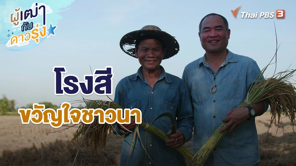 โรงสีขวัญใจชาวนา