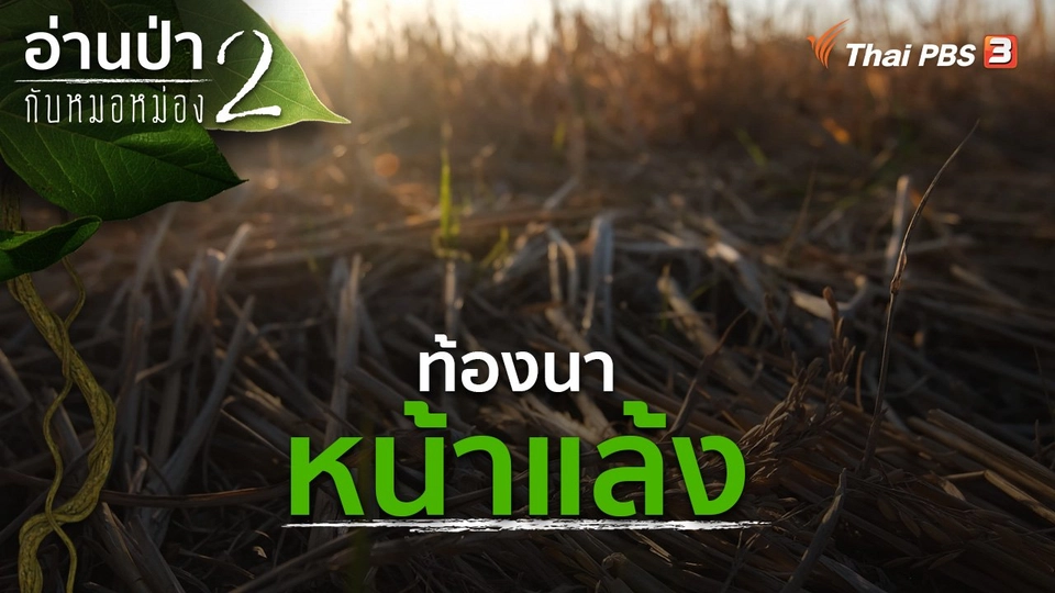 ท้องนาหน้าแล้ง