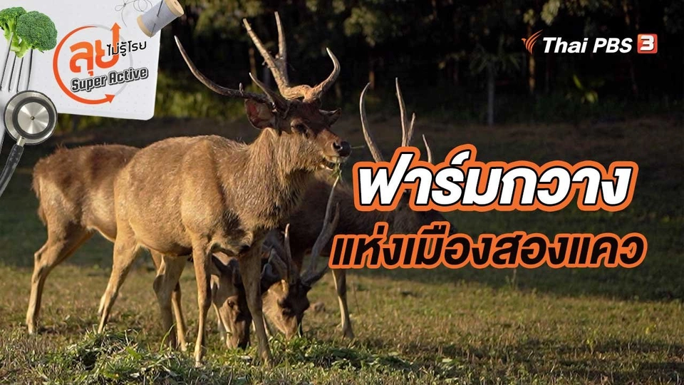 ฟาร์มกวางแห่งเมืองสองแคว