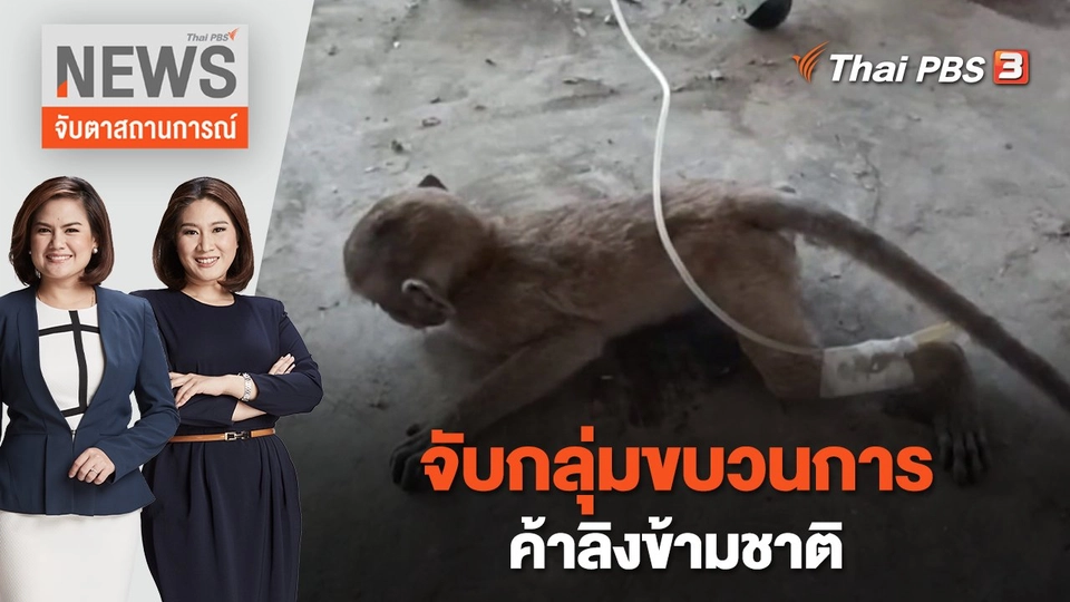 จับกลุ่มขบวนการค้าลิงข้ามชาติ | จับตาสถานการณ์ | 17 ก.พ. 66