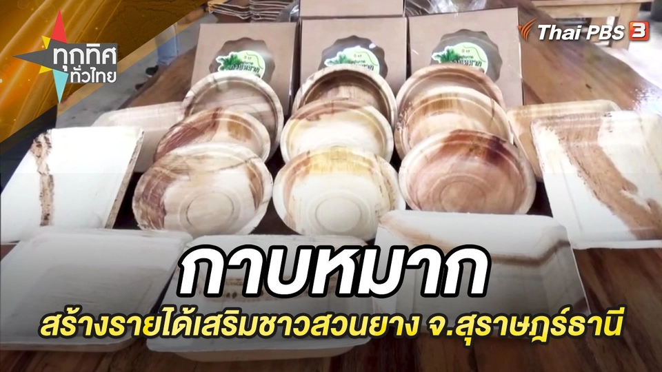 กาบหมากสร้างรายได้เสริมชาวสวนยาง จ.สุราษฎร์ธานี